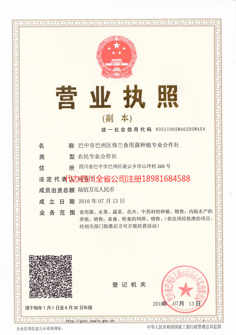 巴中巴中伟兰食用菌种植专业合作社