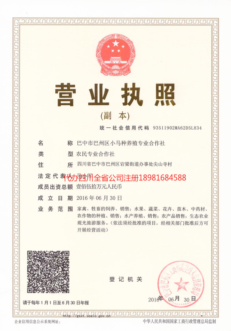 巴中巴中小马种养殖专业合作社